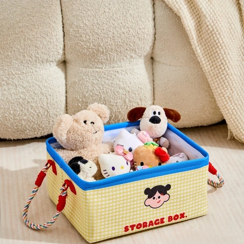 FAMILY Desktop Storage Box