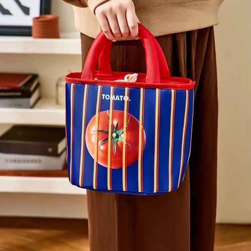 Blocked Tomato Insulated Commuter Bag